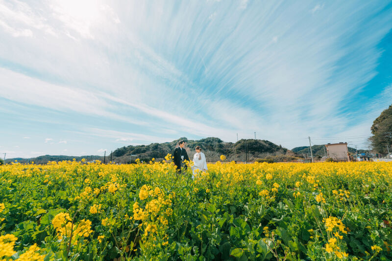 【春爛漫の河津ロケーションの紹介！】