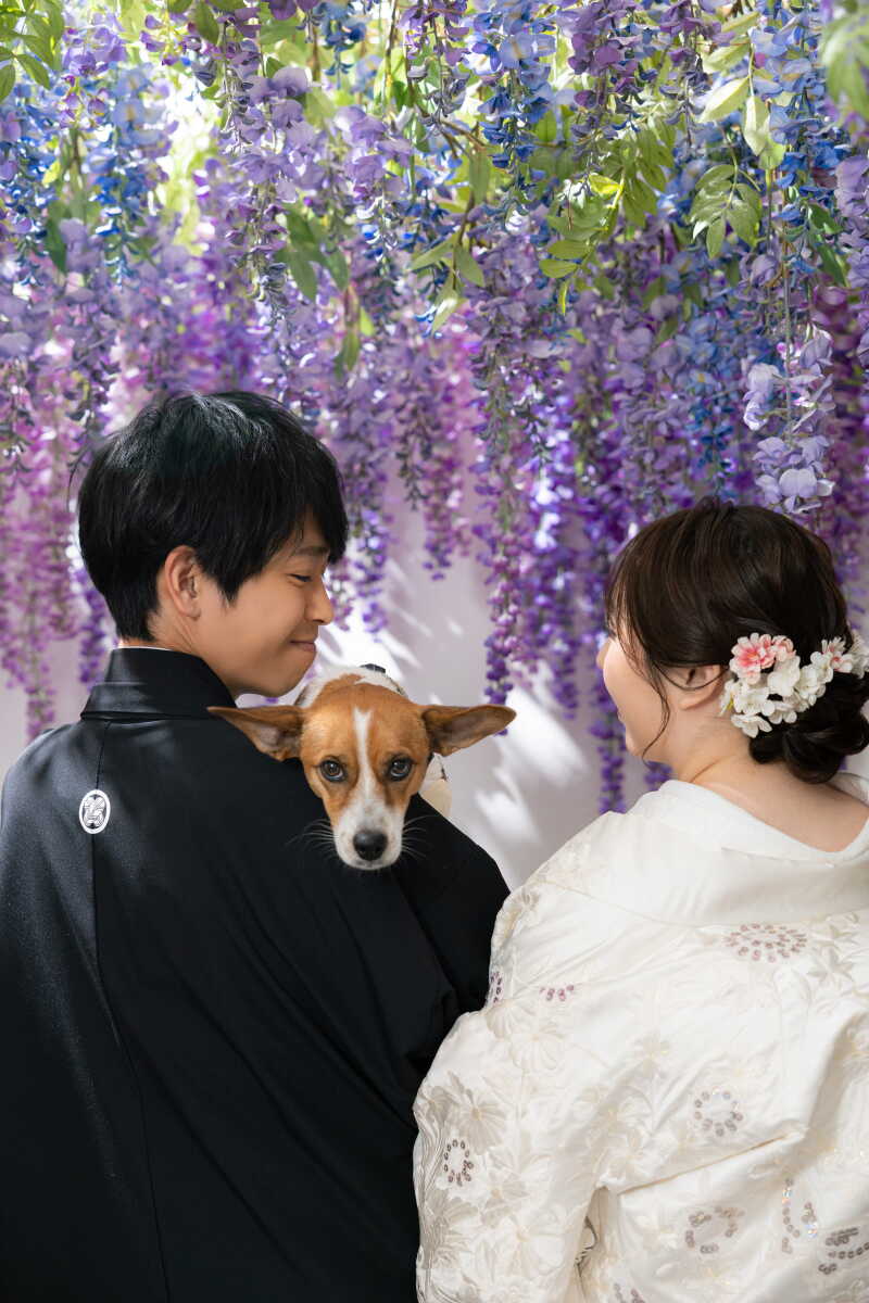 【スタジオAQUA】愛犬とスタジオ撮影！