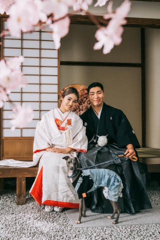  【スタジオAQUA】犬と一緒に屋内庭園と稲毛海浜公園！