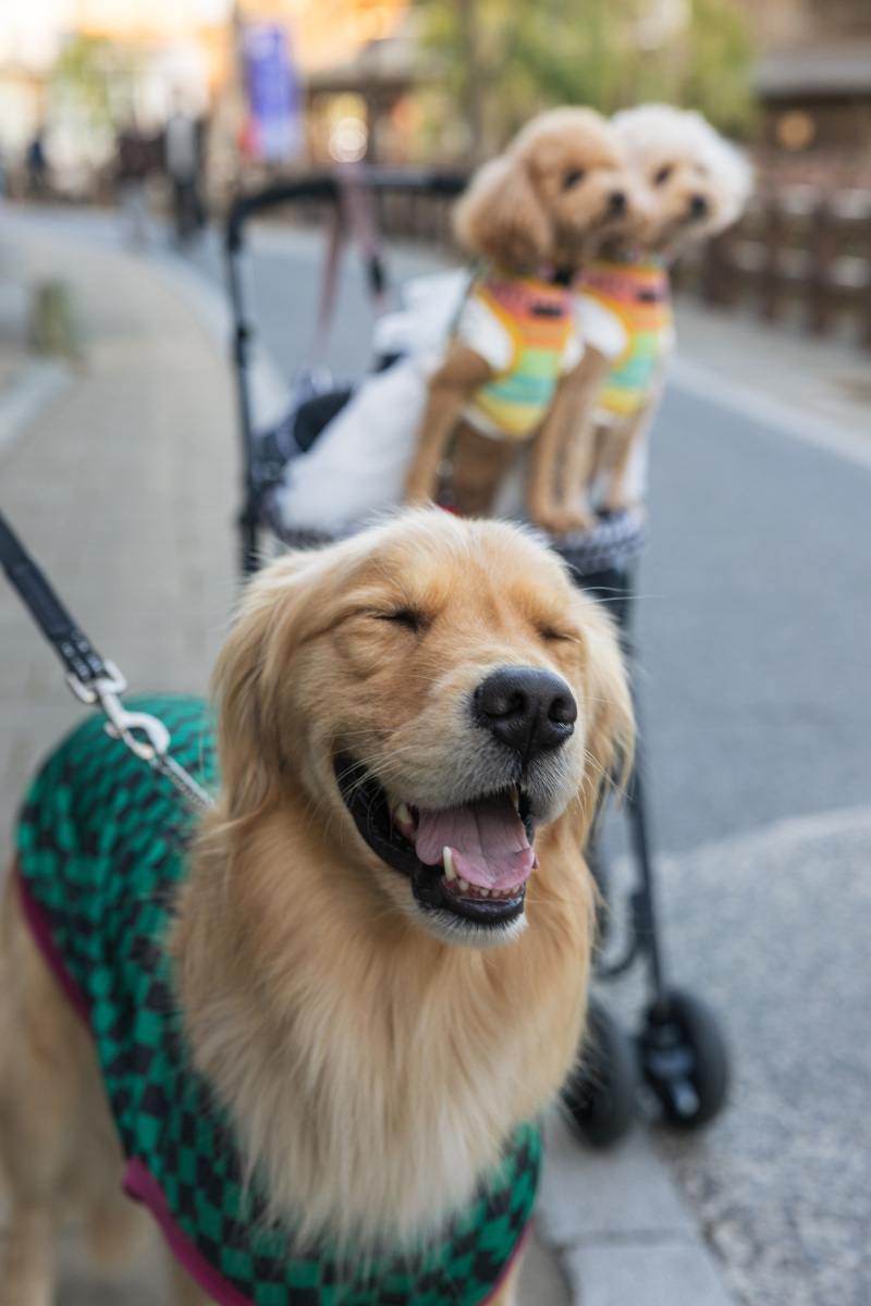 【スタジオAQUA】小江戸佐原ロケーション