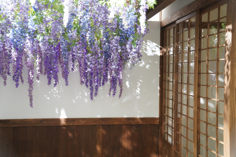 【スタジオAQUA】屋内庭園スタジオのご紹介