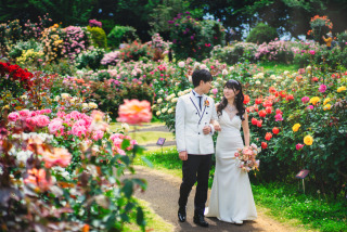 沢山の薔薇に囲まれて