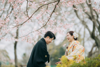 【スタジオAQUA】撮れたて桜ロケーション
