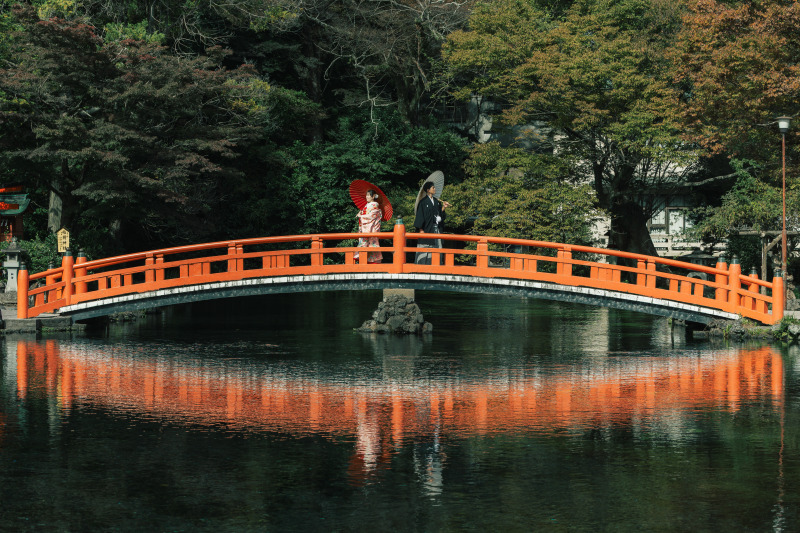 和洋満喫プラン!