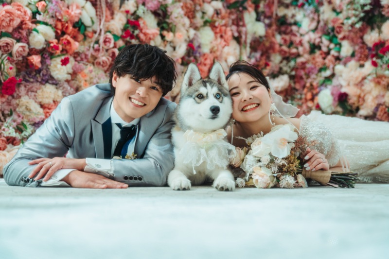 韓国ドレスとスタジオが相性◎