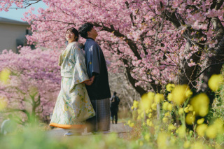 【スタジオAQUA】河津桜ロケーションのご紹介！