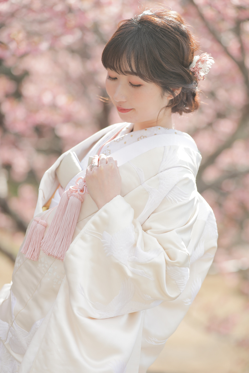 【スタジオAQUA】河津桜、イチオシです!