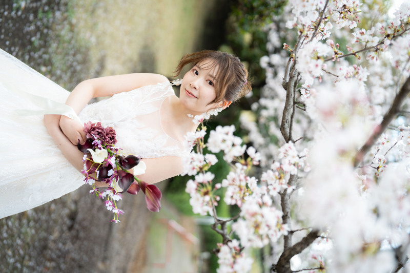 船橋の桜ロケーションのご紹介