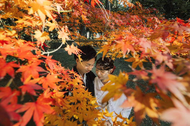 紅葉シーズンの見浜園撮影!