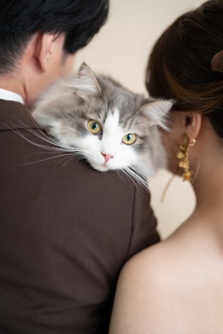 【スタジオAQUA】洋装で猫ちゃんとハウススタジオ撮影！