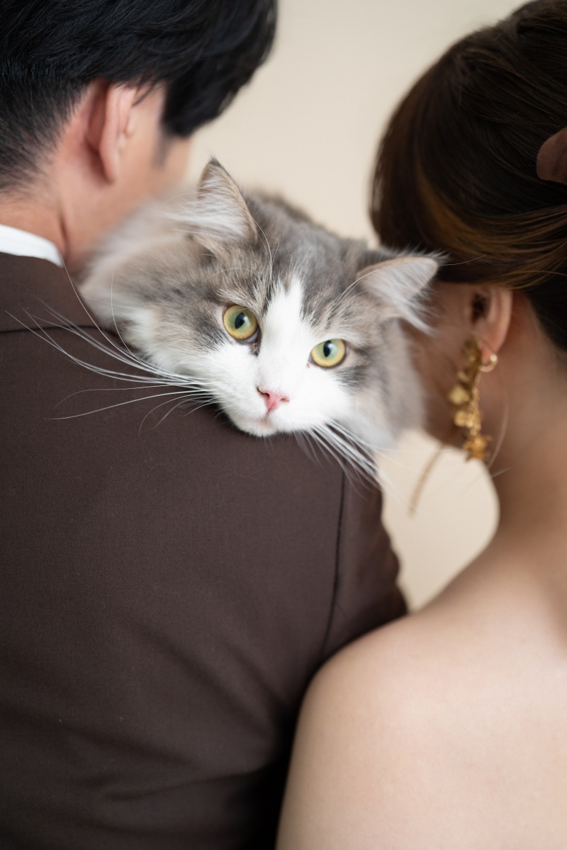 【スタジオAQUA】洋装で猫ちゃんとハウススタジオ撮影！