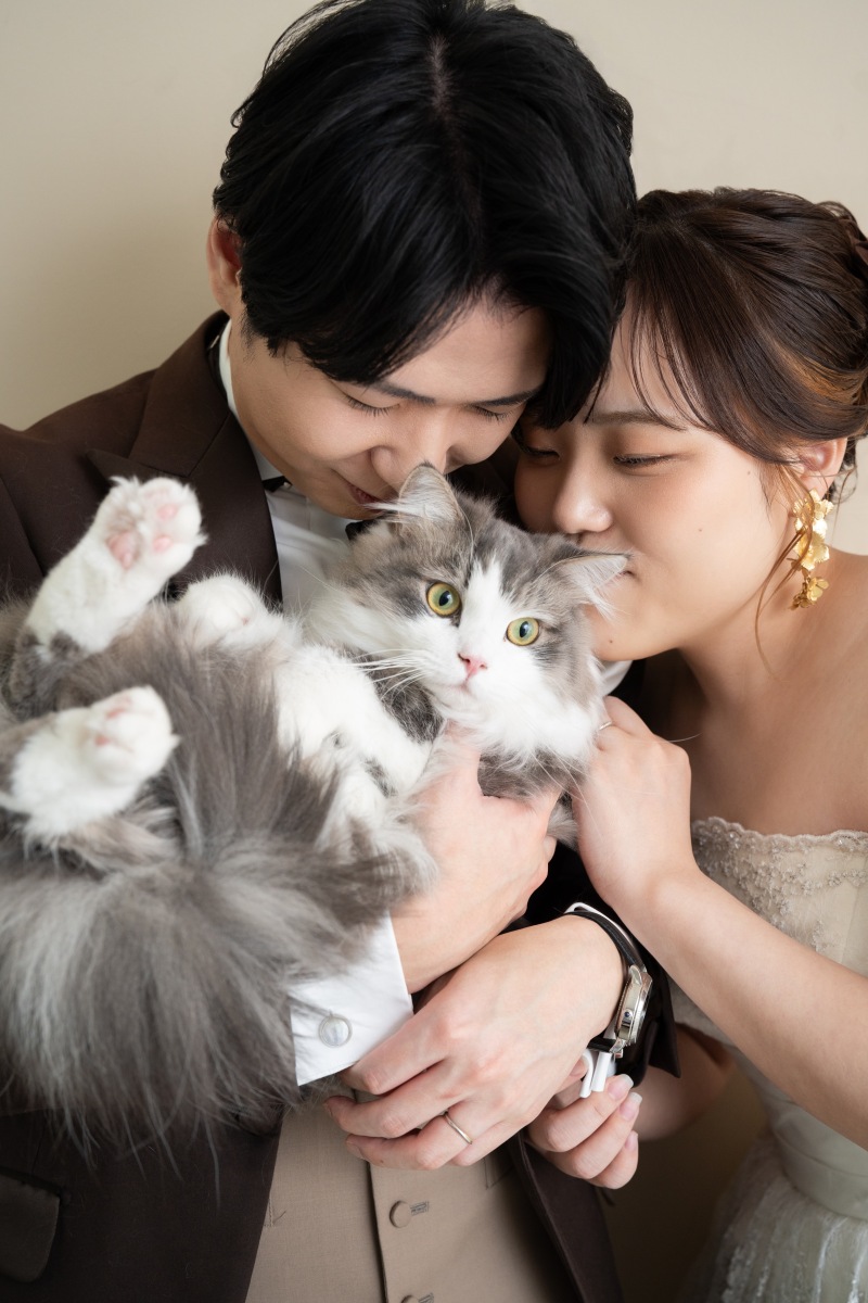 【スタジオAQUA】洋装で猫ちゃんとハウススタジオ撮影！