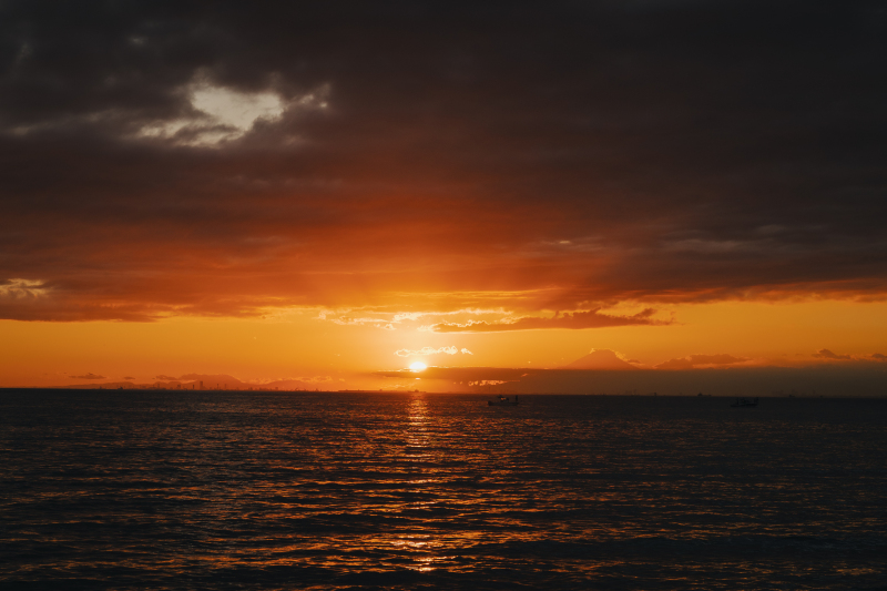 【スタジオAQUA】愛犬たちと