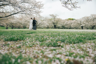 桜舞う青葉の森公園