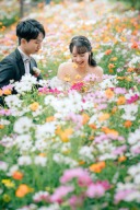 秋のアンデルセン公園！コスモス畑