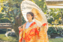 和装の柄【菊】