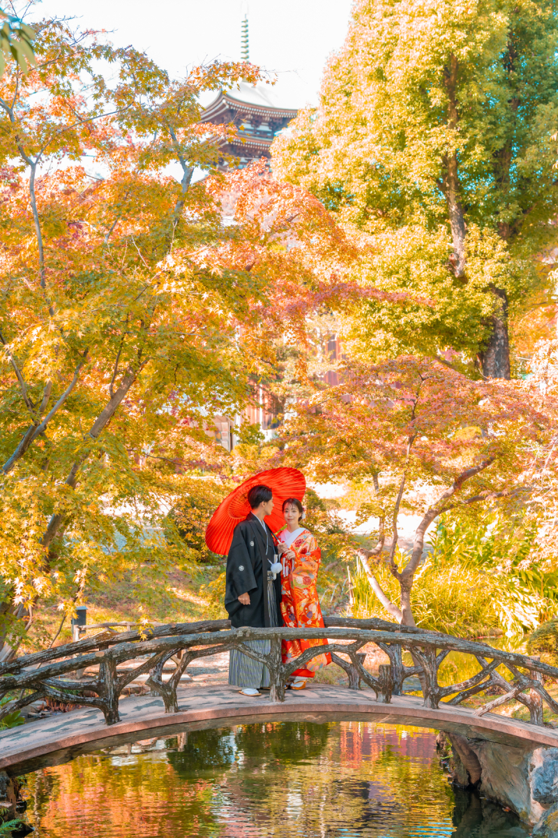 撮影カットのご紹介 ～紅葉①～