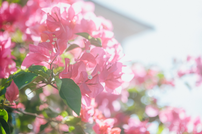 【実例フォト】沖縄の夏はまだまだ続くよ～！