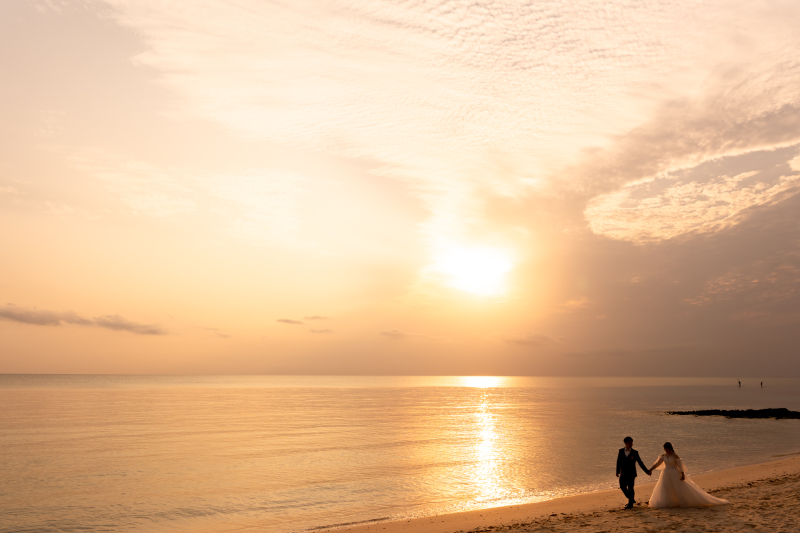 【プラン紹介】海と緑、大自然を巡るフォトジャーニー