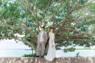 【こだわり】ビーチだけじゃない、沖縄の自然は魅力的!