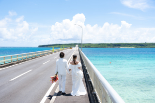 【現地情報】秋のフォトシーズン突入!