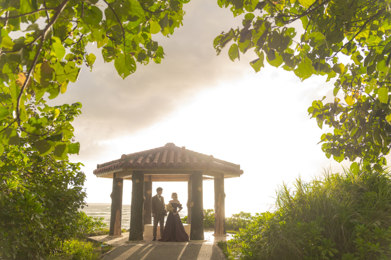 【お客様の声】会社選びの決め手は?