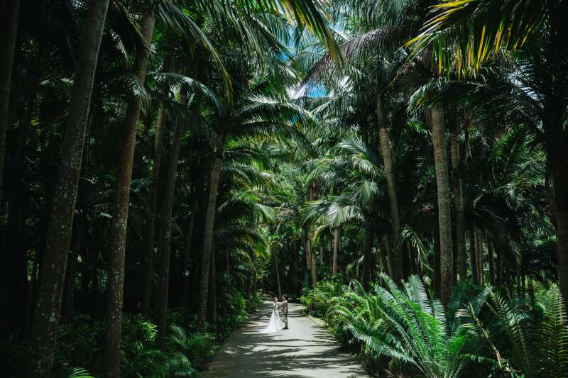 【現地情報】冬でも緑や花と撮れる、沖縄フォトの魅力