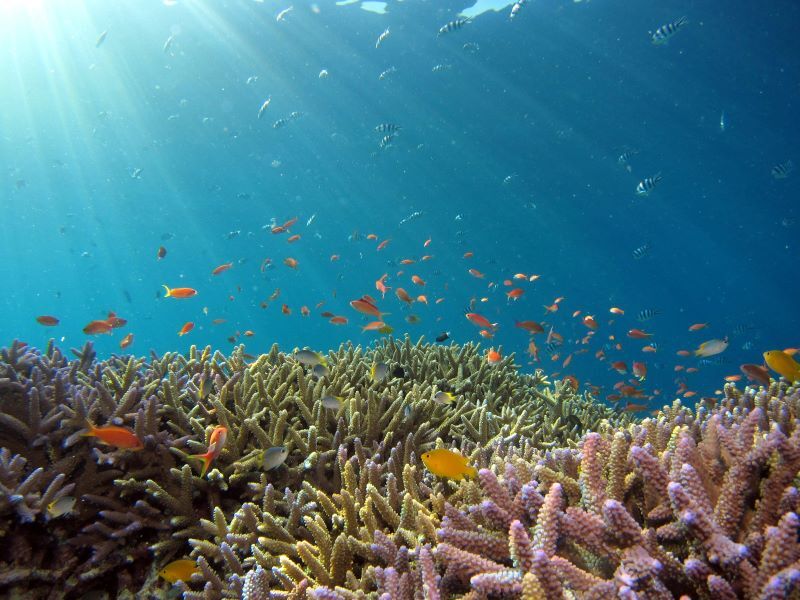 【現地ガイド】沖縄離島の、青い海に会いに!