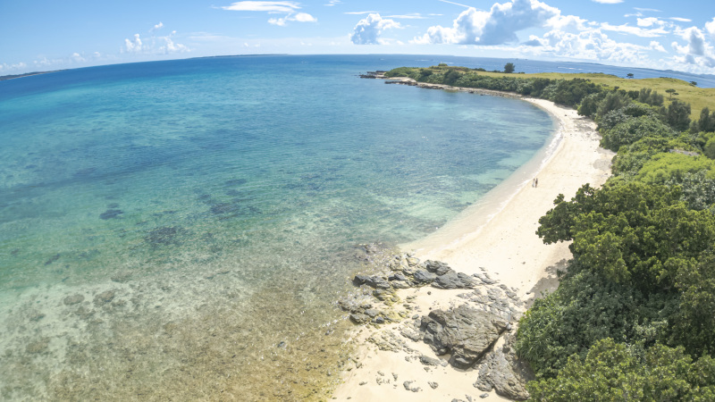 【プラン紹介】海と緑、大自然を巡るフォトジャーニー