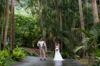 【石垣島】おすすめの撮影スポット特集④米原ヤエヤマヤシ群落