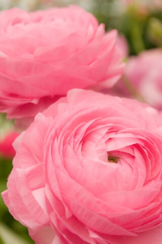 ✧:・゚魔法をプラスしてみませんか?:・゚✧