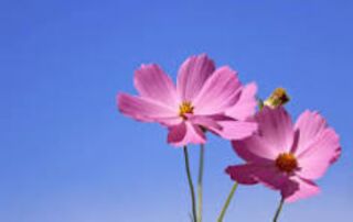 お悩み解決！～ウェディングドレス❀～