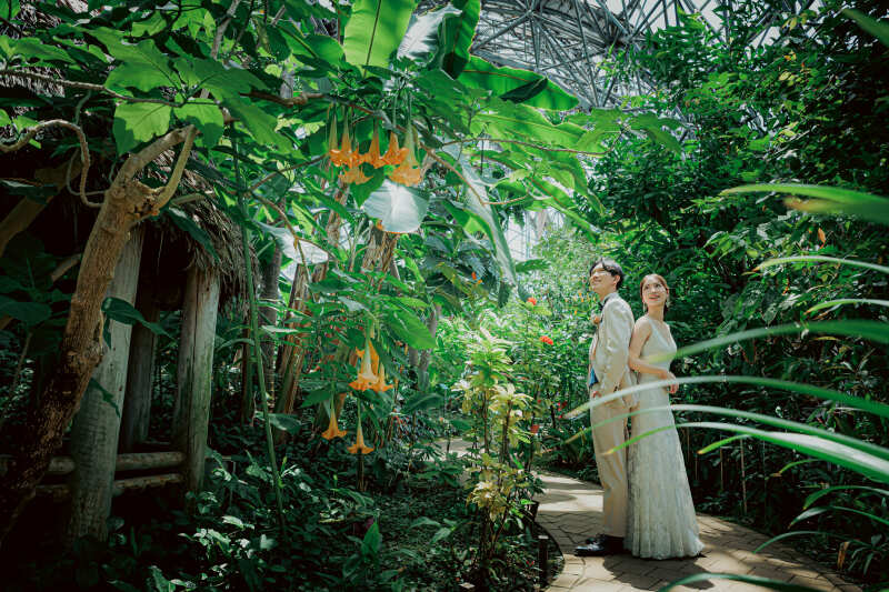 都内とは思えない!夢の島熱帯植物園で楽しむリゾート風前撮り