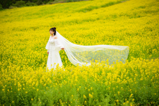 スマホ動画プレゼント