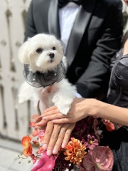 ペットも一緒に♪