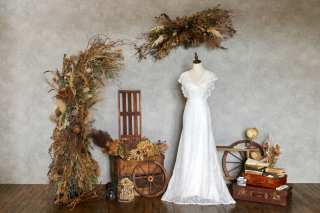 ドライフラワースタジオ✿