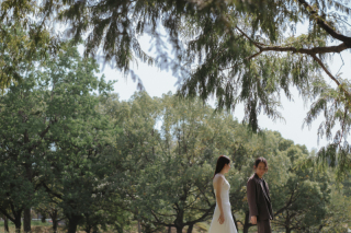 Photorait限定新プランを掲載しました