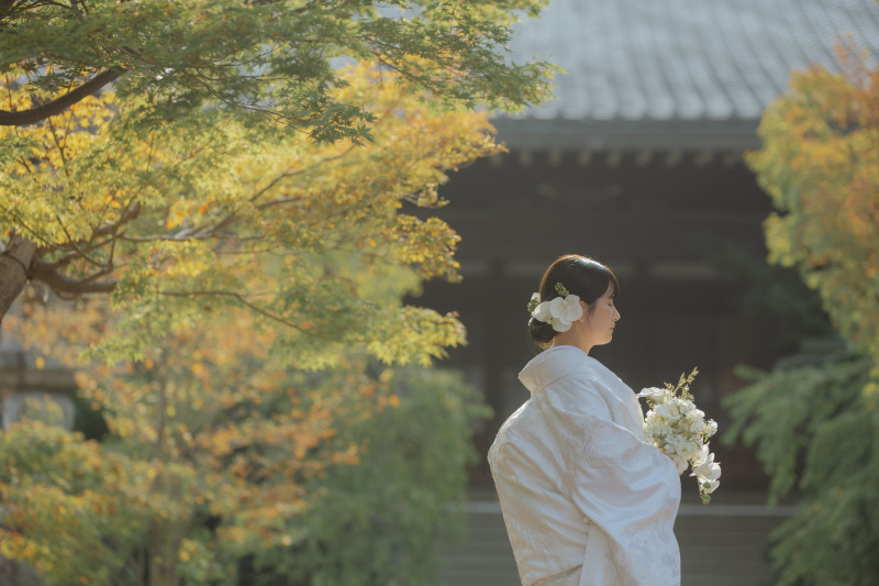 10月〜12月の平日撮影枠、まだご案内可能です