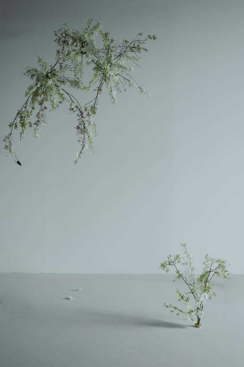 スタジオ『fig.』撮影作品例