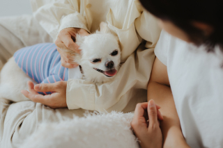 ペットとの撮影も可能です！