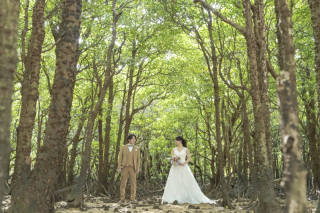 後悔してほしくない。後悔を最大限防ぐ方法をお教えします。