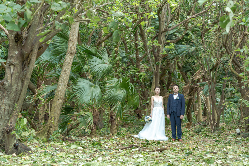 圧倒的なコストパフォーマンス。 ロケ地数もカット数も無制限でこの安さ。