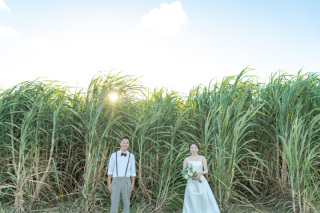 「石垣島・宮古島の伝道師」とは！？BlueSodaのフォトグラファーは他とは違う