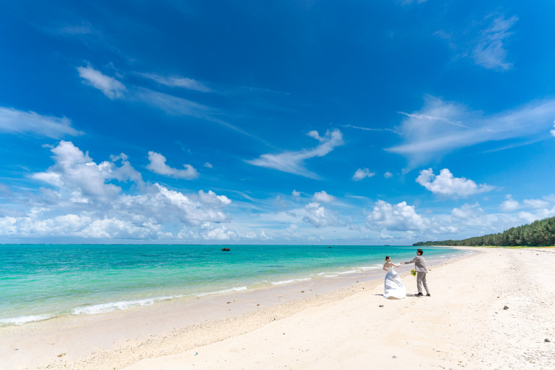 フォトウェディングってどんなの？動画で全部確認できます！公開中。