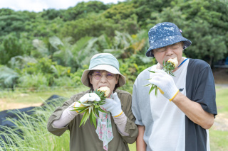 しまんちゅと一緒に観光体験ができるフォトウェディングスタジオです。