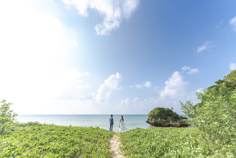 絶景の観光ツアーしながら、休憩にフルーツジュース！無制限だからできるツアー！