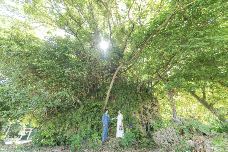 素晴らしい景色の場所の石垣島の魅力を１ヶ所でも多く皆さんに知ってもらいたい！