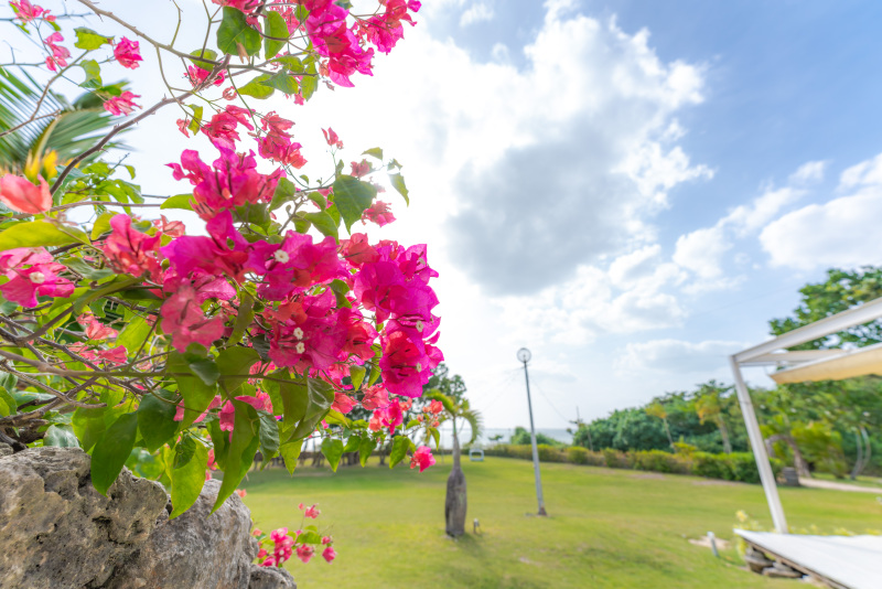石垣島のフォトウエディングに会食や宿泊も付けれる！