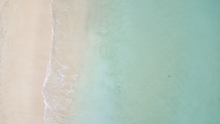 メリークリスマス！BlueSodaの2025年からの新しいツアーとチャレンジ！