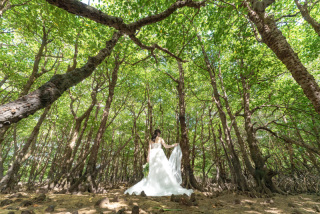 降水確率70%や台風直後でも撮影できる?2024年の撮影遂行率は驚異の97%!